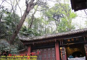 Chengdu avril 2017 - 091